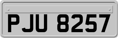 PJU8257
