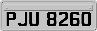 PJU8260