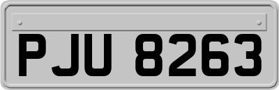 PJU8263