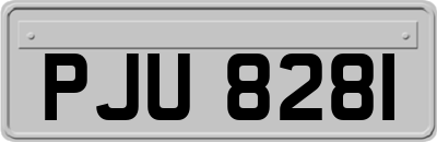 PJU8281
