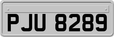 PJU8289