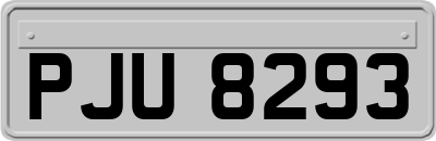 PJU8293