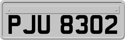 PJU8302