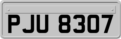 PJU8307