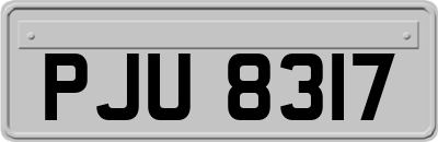 PJU8317