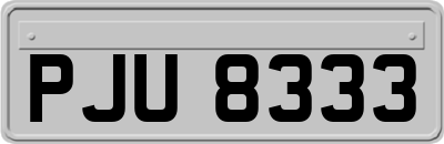 PJU8333