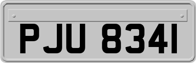 PJU8341