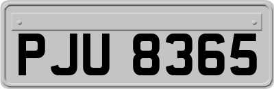 PJU8365