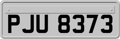 PJU8373