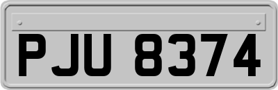 PJU8374