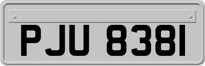 PJU8381