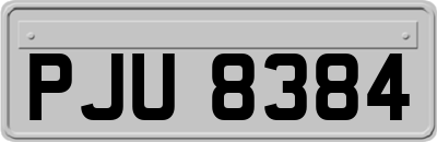 PJU8384