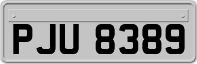 PJU8389