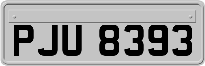 PJU8393