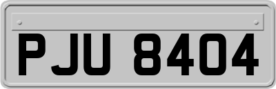 PJU8404