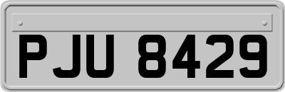 PJU8429