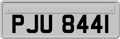 PJU8441