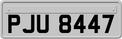 PJU8447
