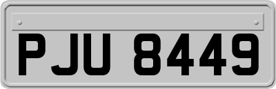PJU8449