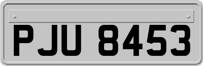 PJU8453