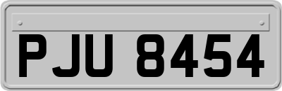 PJU8454