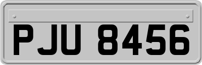 PJU8456