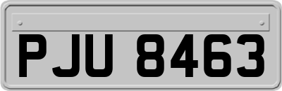 PJU8463