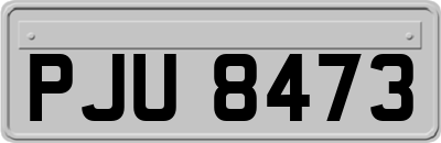 PJU8473