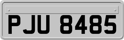 PJU8485