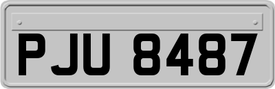 PJU8487
