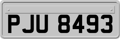 PJU8493