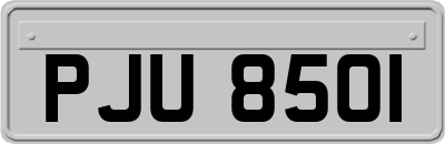 PJU8501