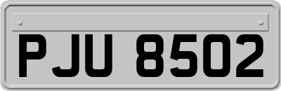 PJU8502