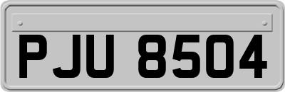 PJU8504