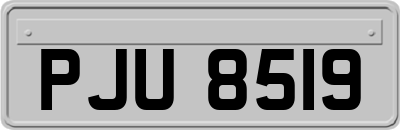 PJU8519
