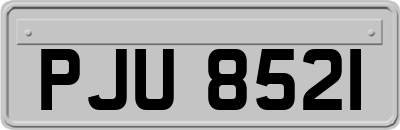 PJU8521