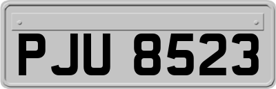 PJU8523