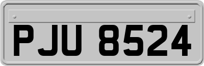 PJU8524