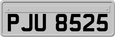 PJU8525