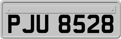 PJU8528
