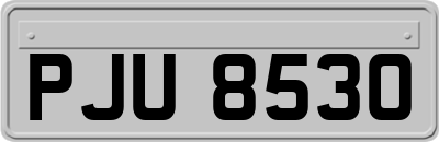 PJU8530