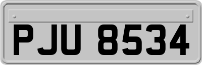 PJU8534