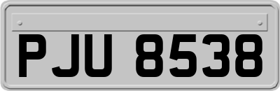 PJU8538