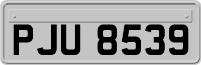 PJU8539