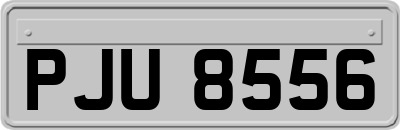 PJU8556