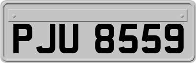 PJU8559