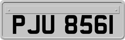 PJU8561