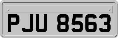 PJU8563