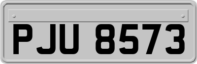 PJU8573