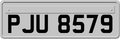 PJU8579
